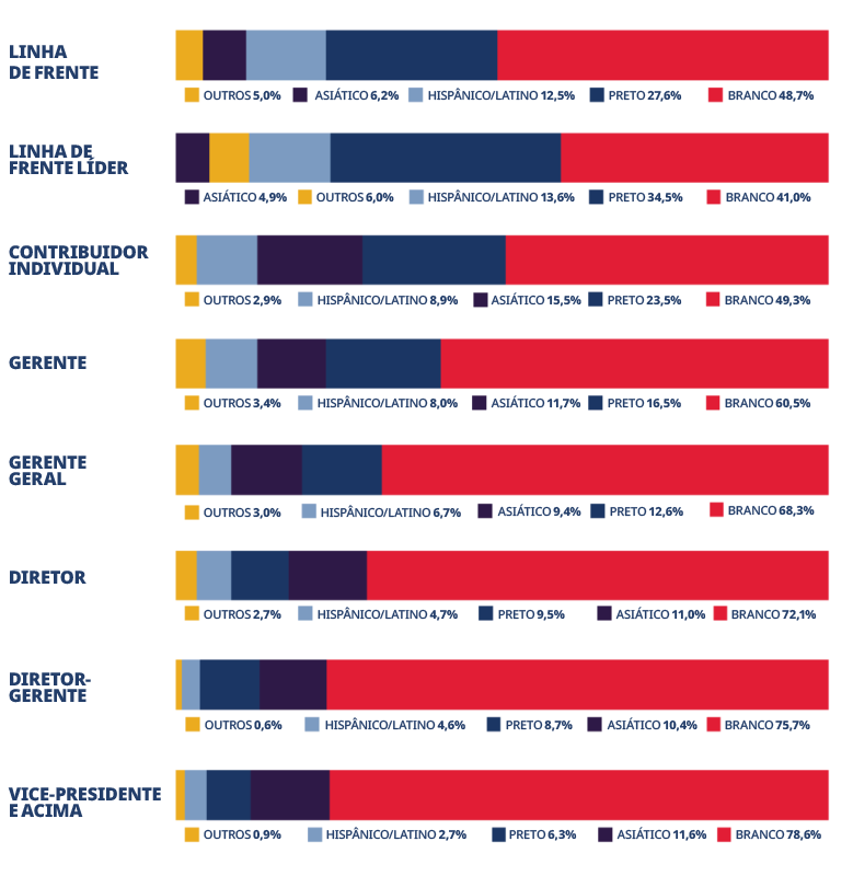 Gráfico de etnia do funcionário por nível de classificação